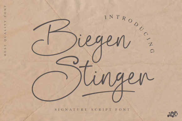 Biegen Stinger Script Font for Elegant Handmade Brands
