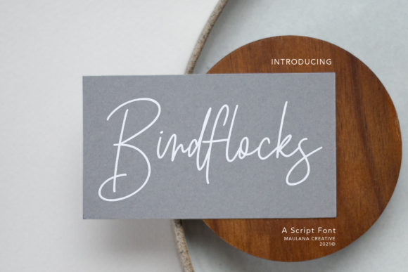 Birdflocks Script: A Fashionable Thin Script Font for Elegant Branding
