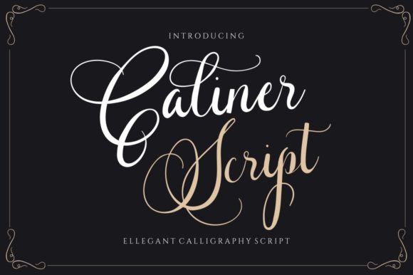 Caliner Script: A Delicate Script Font for Elegant Digital Branding