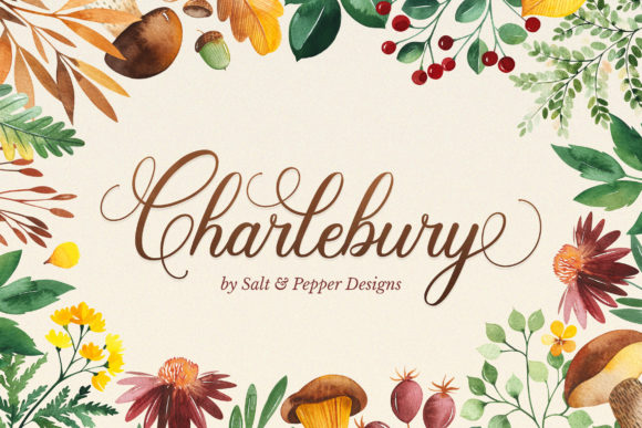 Charlbury Script: A Contemporary Script Font for Scroll-Stopping Brand Content