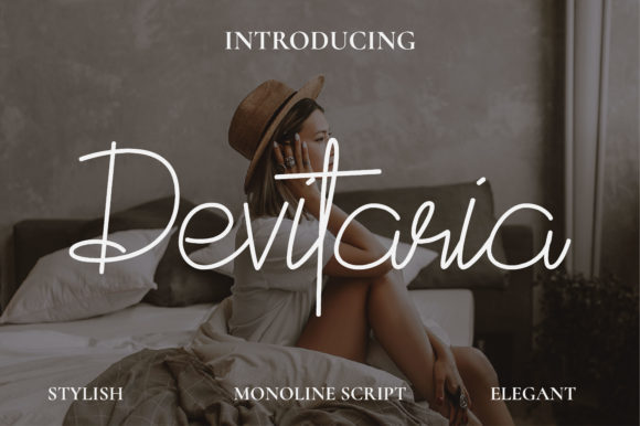 Devitaria Script: A Stylish & Delicate Script Font for Small Business Branding