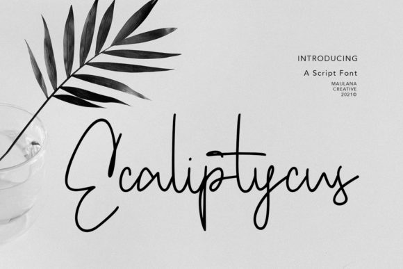 Ecaliptycus Script: A Luxury Handwritten Font for Scroll-Stopping Visuals