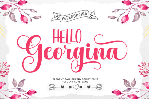 Hello Georgina Font: A Jolly Script & Sans Serif Duo for Crafters