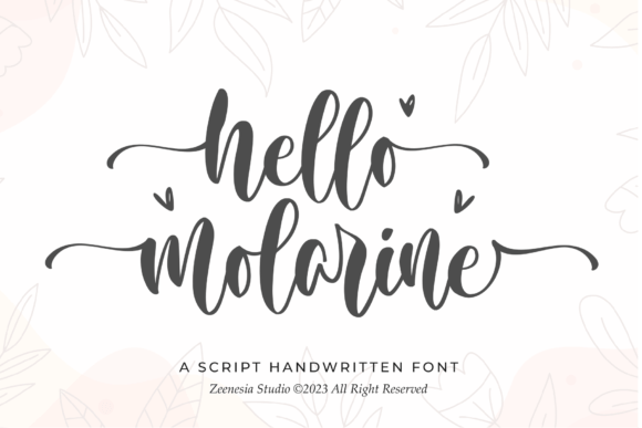 Hello Molarine Font: A Delicate Script Typeface for Elegant Digital Brands