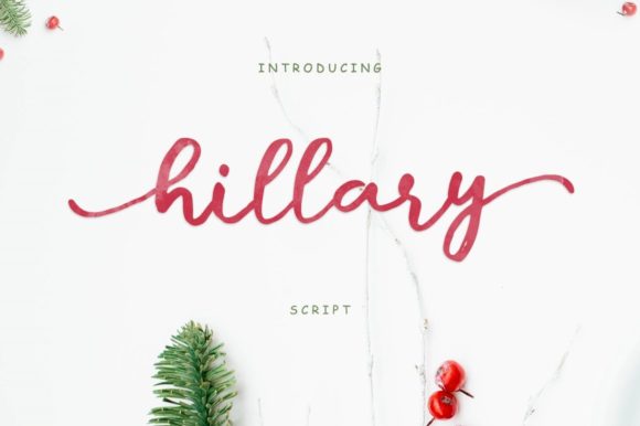 Hillary Script Font for Small Business Branding