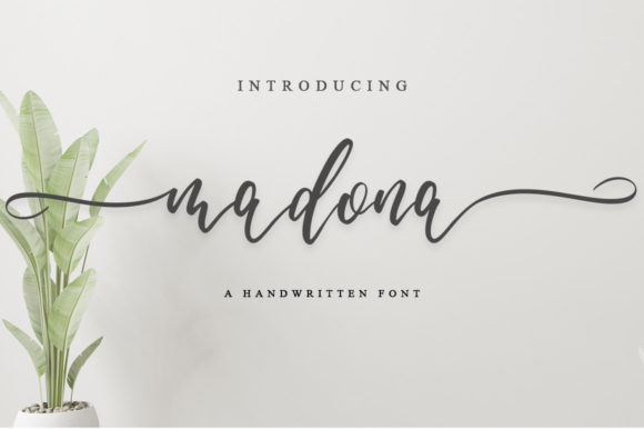 Madona Script Font for Elegant Brand Identity Design
