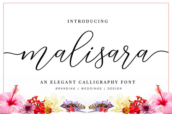 Malisara Script: An Elegant Handwritten Font for Romantic Branding
