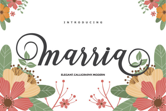 Marria Script Font for Elegant Branding and Business Design