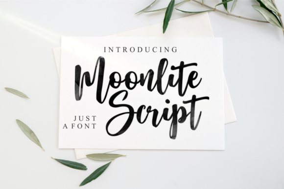Moonlite Script: A Trendy Script Font for Branding That Stands Out