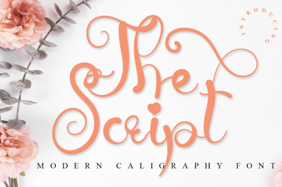 The Script Font for Elegant, Romantic Branding